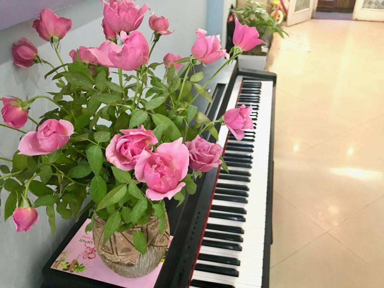The Rose 3*